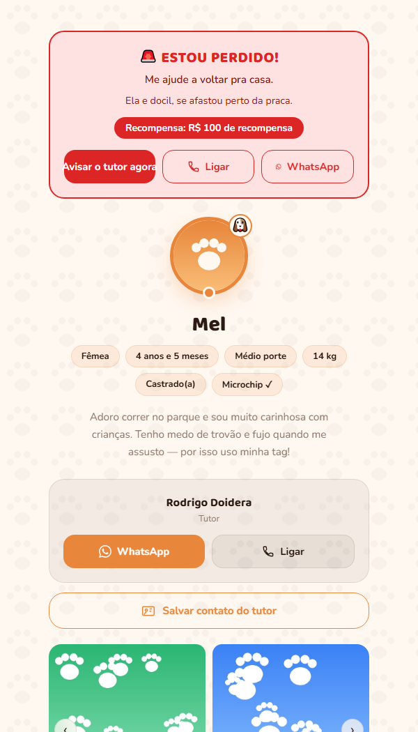 Página do pet Mel com o Modo Perdido ligado — captura real do sistema